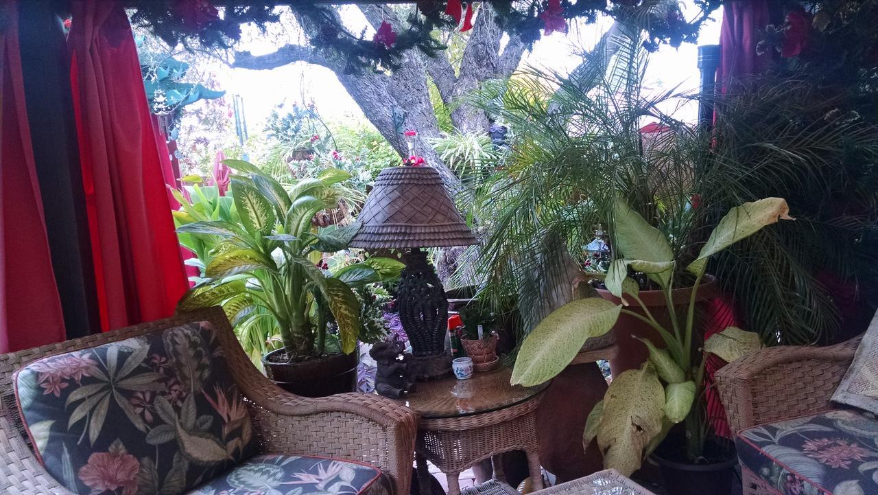 Don'S Elegante Bed & Breakfast Феникс Экстерьер фото